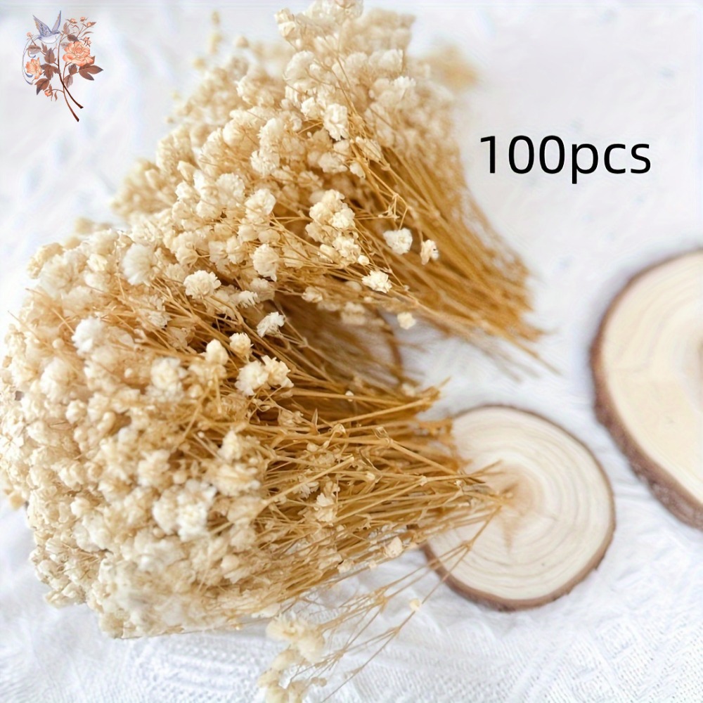 100pcs Mini Dried Baby's Breat - Embellish Craft review and price